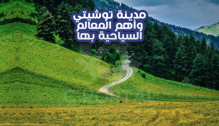 مدينة توشيتي وأهم المعالم السياحية بها